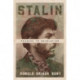 Stalin: Passage to Revolution