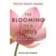 The Blooming of a Lotus: Essential Guided Meditations for Mindfulness, Healing, and Transformation