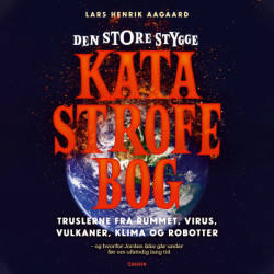Den store stygge katastrofebog