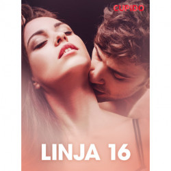 Linja 16 - eroottinen novelli