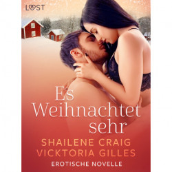 Es Weihnachtet sehr - Erotische Novelle