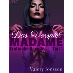Madame 1: Das Vorspiel - Erotische Novelle