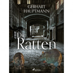 Die Ratten