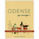 Odense og omegn