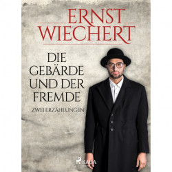 Die Gebärde und der Fremde - Zwei Erzählungen