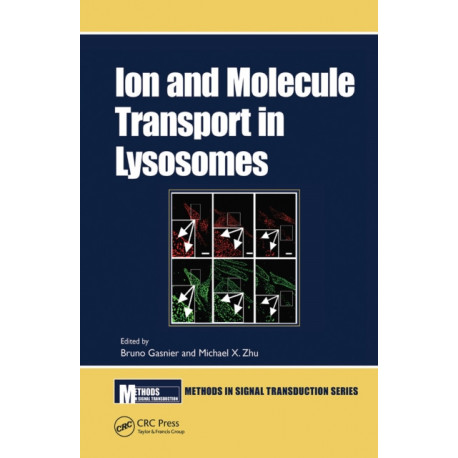 Ion and Molecule Transport in Lysosomes