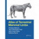 Atlas of Terrestrial Mammal Limbs