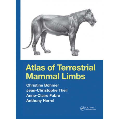Atlas of Terrestrial Mammal Limbs