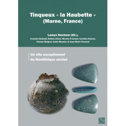 Tinqueux « la Haubette » (Marne, France): Un site exceptionnel du Neolithique ancien