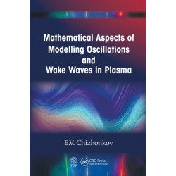 Mathematical Aspects of Modelling Oscillations and Wake Waves in Plasma