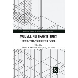 Modelling Transitions: Virtues, Vices, Visions of the Future