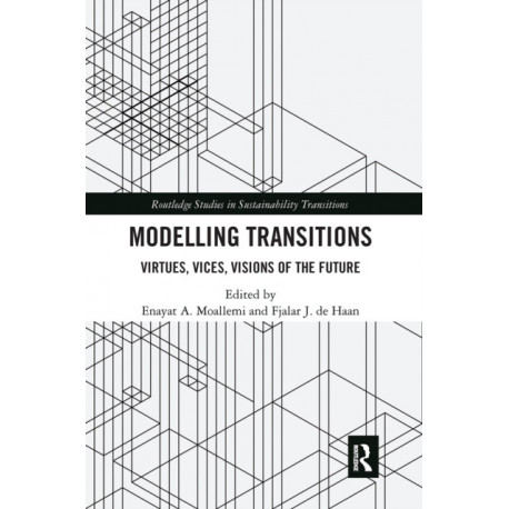 Modelling Transitions: Virtues, Vices, Visions of the Future