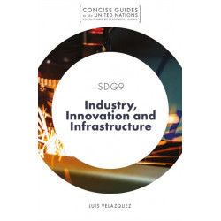 SDG9 - Industry, Innovation and Infrastructure