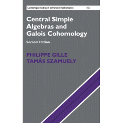 Central Simple Algebras and Galois Cohomology