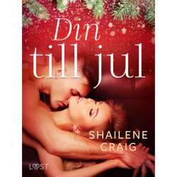 Din till jul - erotisk julnovell