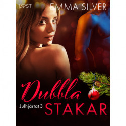 Julhjärtat 3: Dubbla stakar - erotisk juldeckare