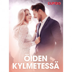 Öiden kylmetessä – eroottinen novelli