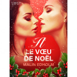 Le Vœu de Noël – Une nouvelle érotique