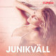 Junikväll - erotiska noveller