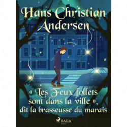 « Les Feux follets sont dans la ville », dit la brasseusse du marais