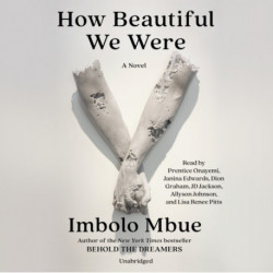 How Beautiful We Were: A Novel