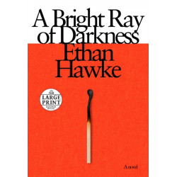 A Bright Ray of Darkness: A novel