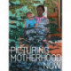 Picturing Motherhood Now