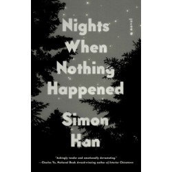 Nights When Nothing Happened: A Novel