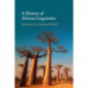 A History of African Linguistics