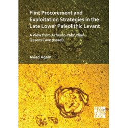 Flint Procurement and Exploitation Strategies in the Late Lower Paleolithic Levant: A View from Acheulo-Yabrudian Qesem Cave (Israel)