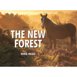 Spirit of the New Forest