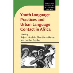 Youth Language Practices and Urban Language Contact in Africa