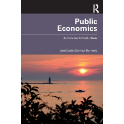 Public Economics: A Concise Introduction