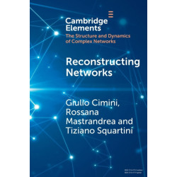 Reconstructing Networks