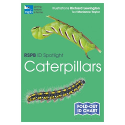 RSPB ID Spotlight - Caterpillars