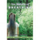 The Nature of Breathing