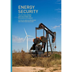 Energy Security: Policy Challenges and Solutions for Resource Efficiency