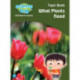 Science Bug: What plants need Topic Book