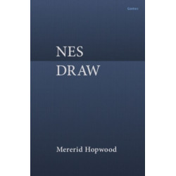 Nes Draw