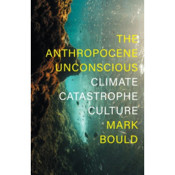 The Anthropocene Unconscious: Climate Catastrophe Culture