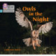 Owls in the Night: Phase 3 Set 2