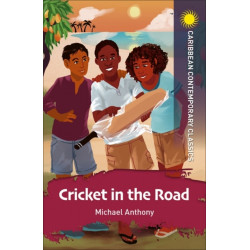 Cricket in the Road