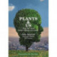 Plants & Us: How they shape human history and society