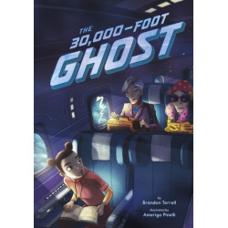 The 30,000-Foot Ghost