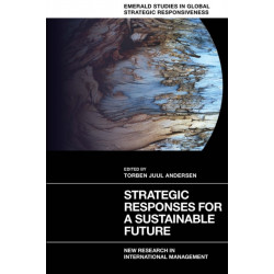 Strategic Responses for a Sustainable Future: New Research in International Management