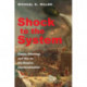 Shock to the System: Coups, Elections, and War on the Road to Democratization