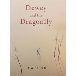 Dewey and the Dragonfly