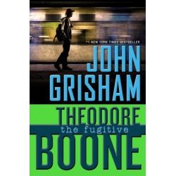 Theodore Boone: the Fugitive