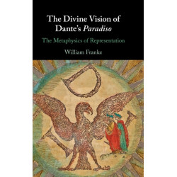 The Divine Vision of Dante's Paradiso: The Metaphysics of Representation