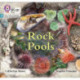 Rock Pools: Phase 3 Set 1